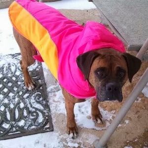 Meet your Posher, Amber